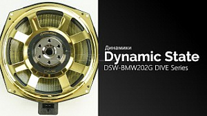 Dynamic State DSW-BMW202G Dive Series