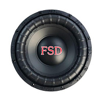 FSD audio MASTER 12 D4