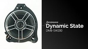 Dynamic State DMB-SW200